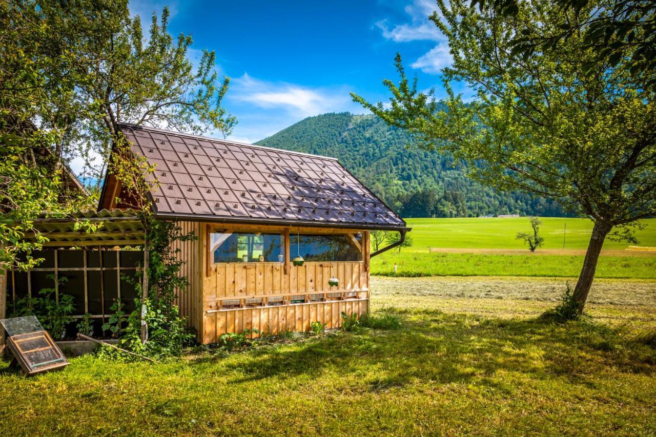 Biohof Untergrabenbauer Apartman Lidaun Kültér fotó